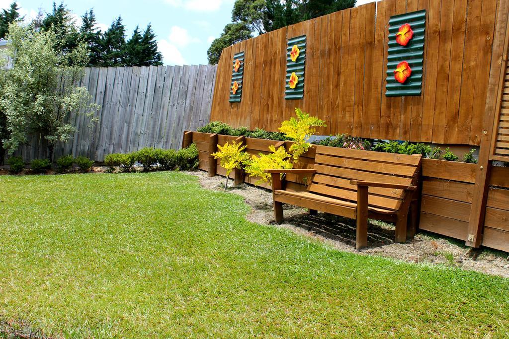 Sunseeker Cottages - Paihia Rum bild